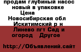продам глубиный насос ( новый в упаковке) › Цена ­ 60 000 - Новосибирская обл., Искитимский р-н, Линево пгт Сад и огород » Другое   